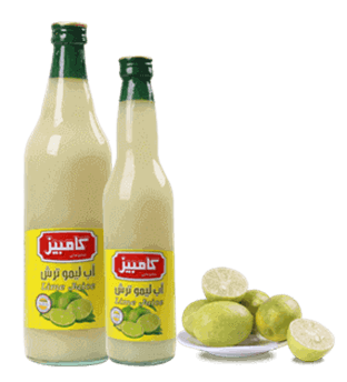 انواع چاشنی جات کامبیز